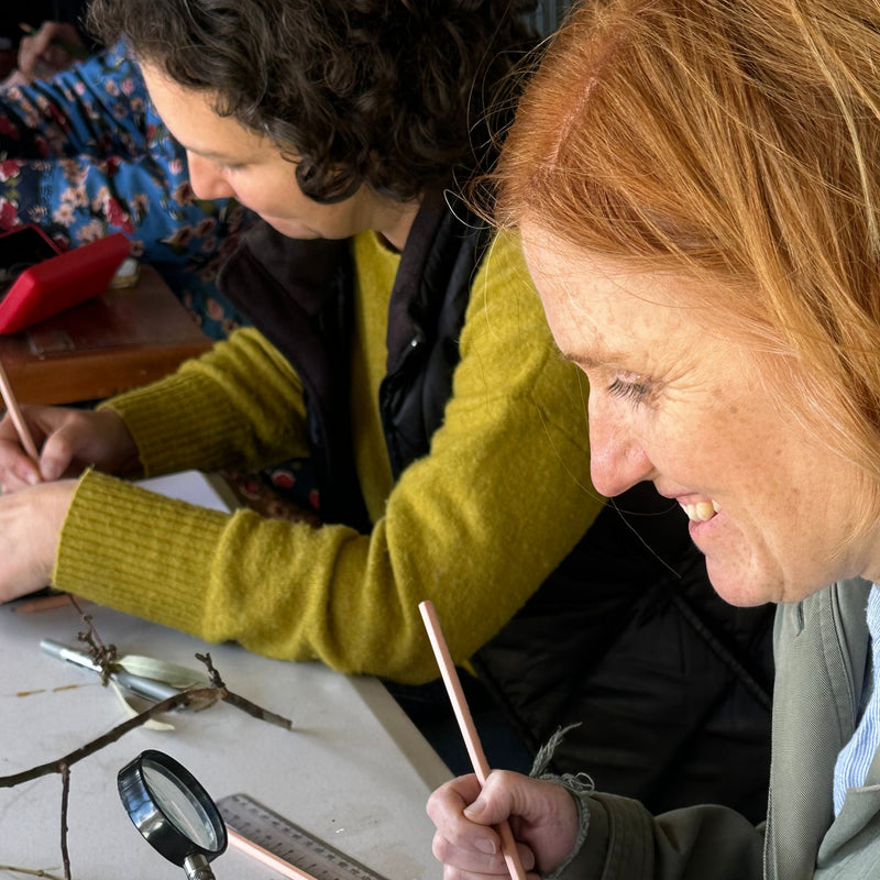 SOCIAL ART SESSIONS - free for NatureArt Lab members Canberra ($20.00 per session for non-members)
