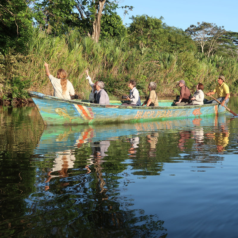 COSTA RICA Ultimate Nature Tour: 2027 - Expressions of Interest