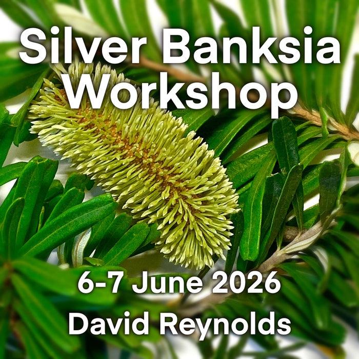 Silver Banksia in Watercolour with David Reynolds (NEW!)