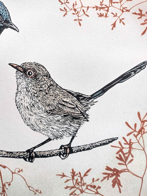 Birds in detail – a linocut printmaking weekend