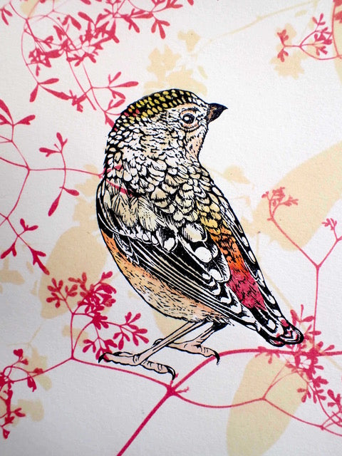 Birds in detail – a linocut printmaking weekend