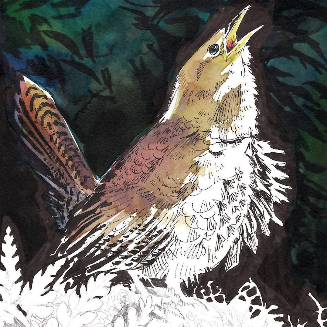 HERON ISLAND NATURE TOUR - ARTIST RETREAT: 17 - 22 February 2027 - $4 ...