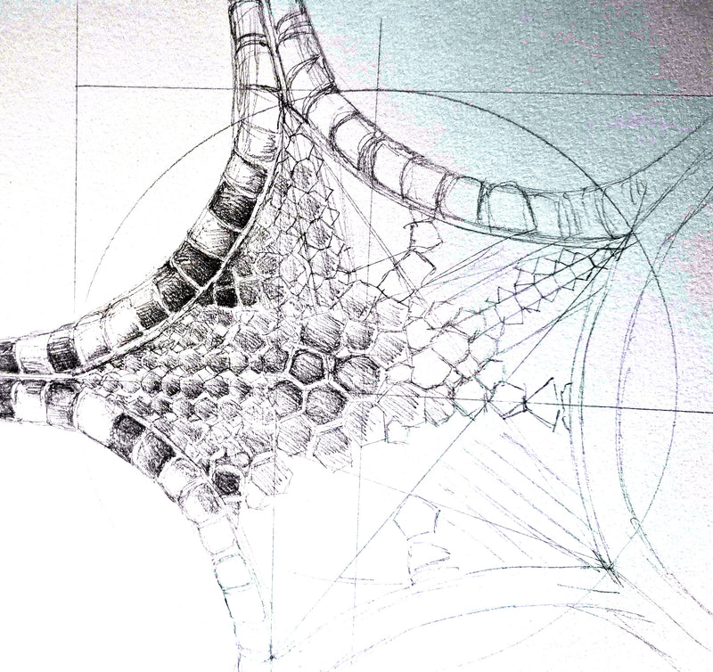Patterns in Nature with Lesley Wallington — SPIRALS (NEW!)
