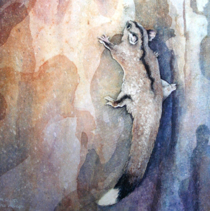 18 March - 3 April 2025, Watercolour Two with Lesley Wallington