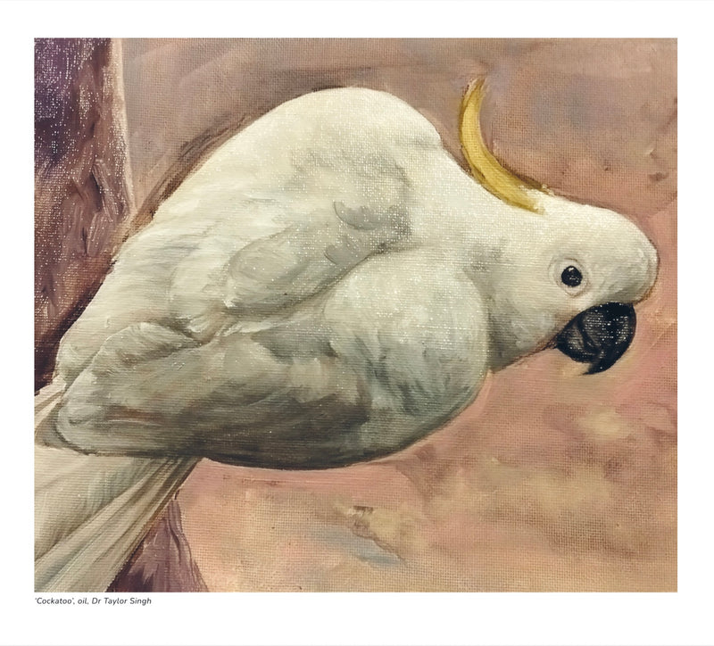 2027 Natural History Art Calendar