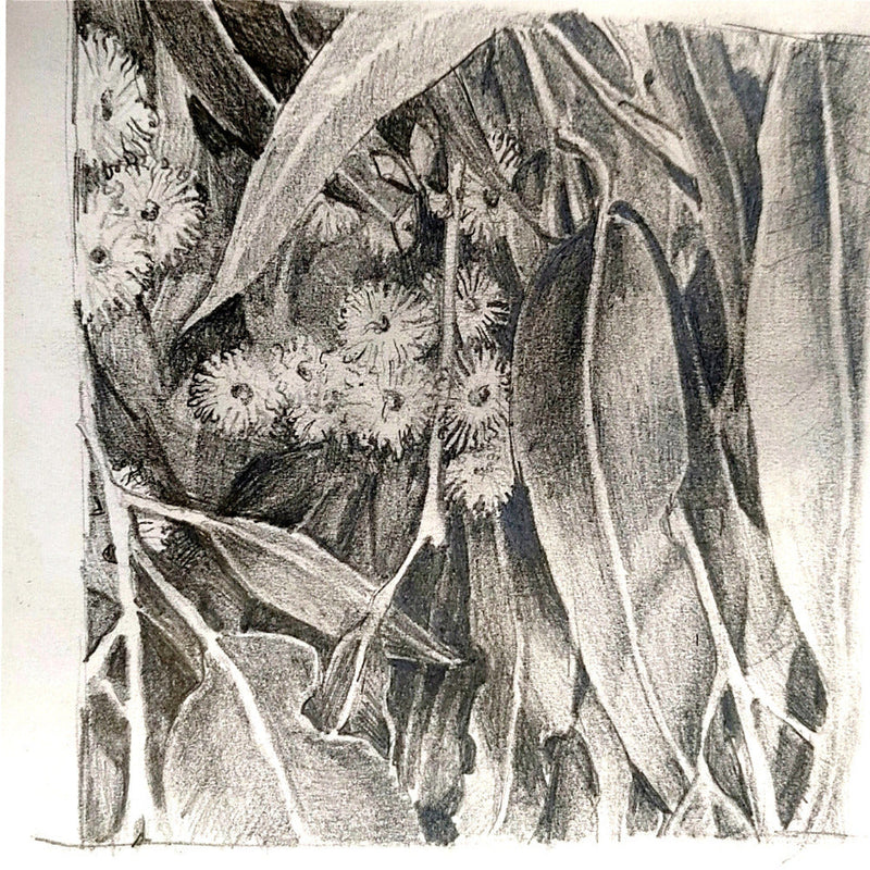 9 - 30 October 2023 DRAWING ONE FOUNDATION STUDIES. Short art course with Taylor Singh