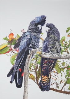 Wildlife in Pastel with Angela Parr