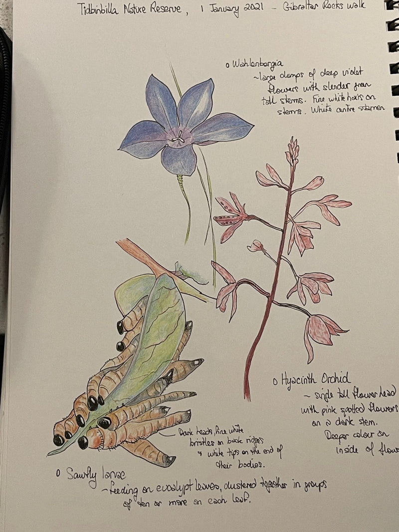 ‘Nature Journalling the Gardens of Eastbourne' - with Julia Landford