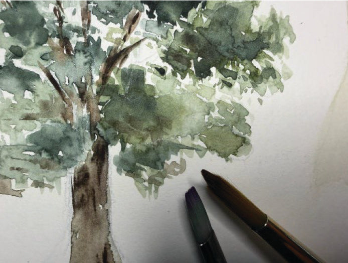 Winter in the woods - National Arboretum Arts and Photography Program