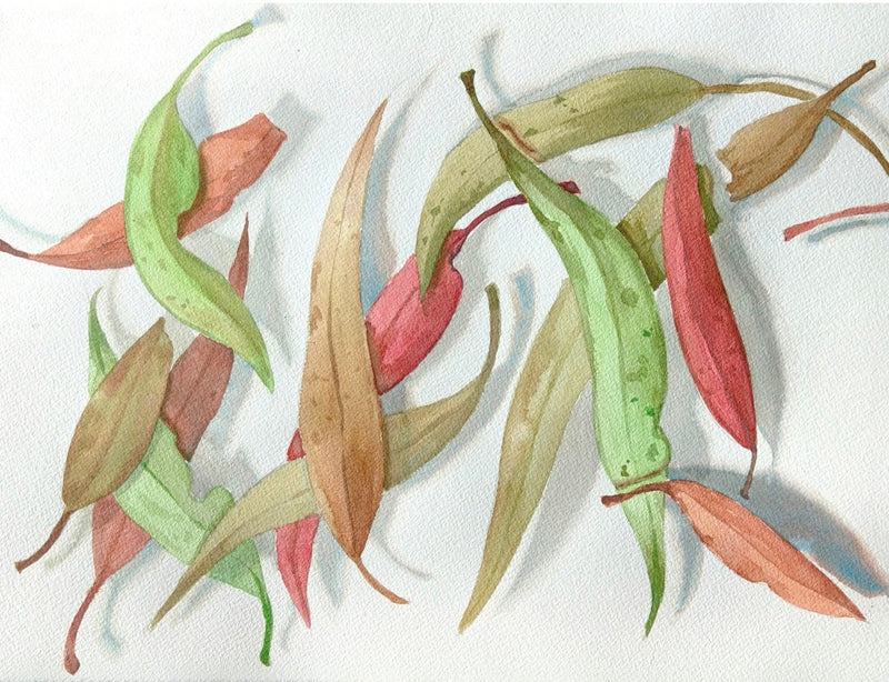 Watercolour Two (Daytime) with Xiaochen (Fiona) Bao