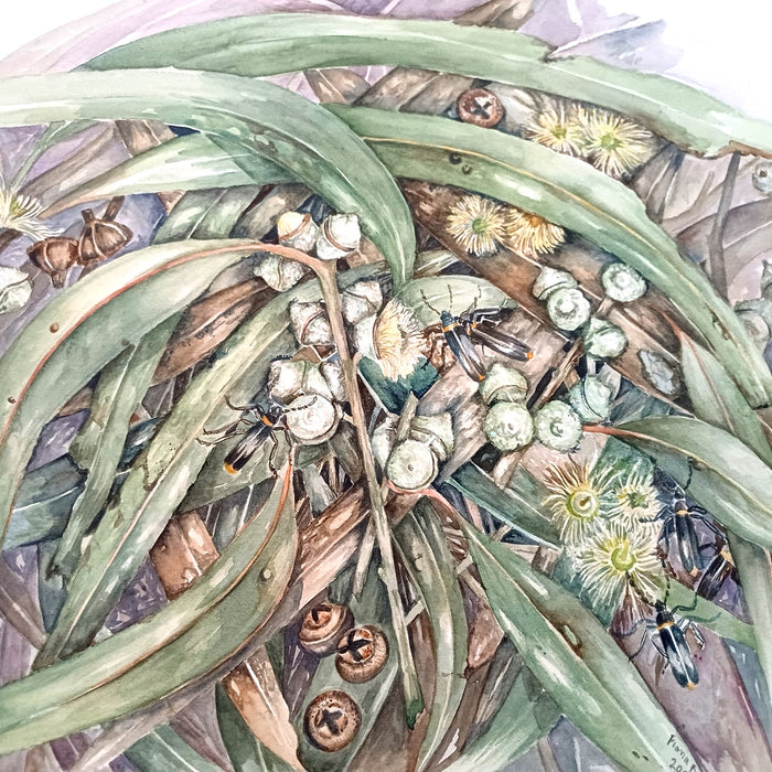 18 & 19 May 2024, Watercolour Sketching: Fallen Leaves with Dr Fiona Boxall