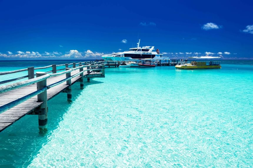 HERON ISLAND NATURE TOUR: 12-17 February 2025, Deposit of $965.00 to secure your place.