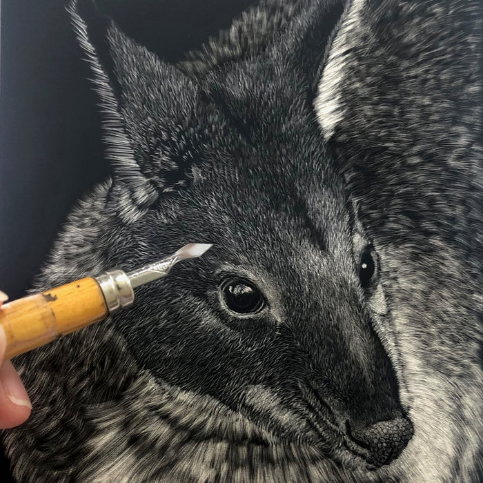 22 - 23 June 2024, Introduction to Scratchboard - Pademelon with Linda Lunnon