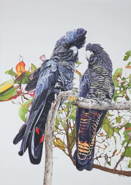 BYRON BAY, NSW – ARTIST RETREAT – RED TAILED BLACK COCKATOOS IN PASTEL: 25 – 28 February 2027 – 25% Deposit $400.00 ($1,600.00)