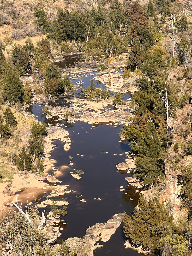 Plein Air Paint Out – Shepherds Lookout with Caroline Reid