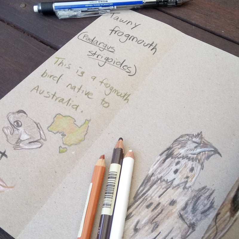 Art - science activities for curious kids!