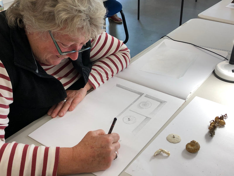 SOCIAL ART SESSIONS - free for NatureArt Lab members Canberra ($20.00 per session for non-members)