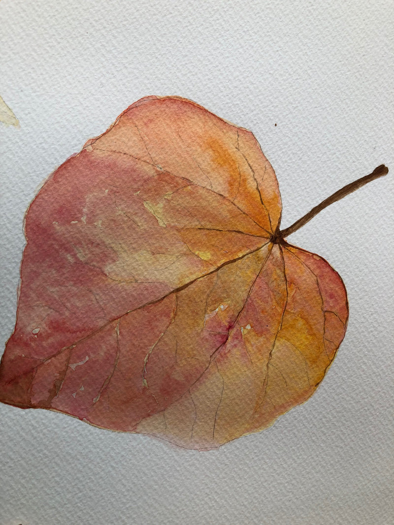 Art - science activities for curious kids!
