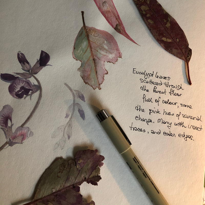 REFLECTIONS ON NATURE - Free Artist in Residency Program