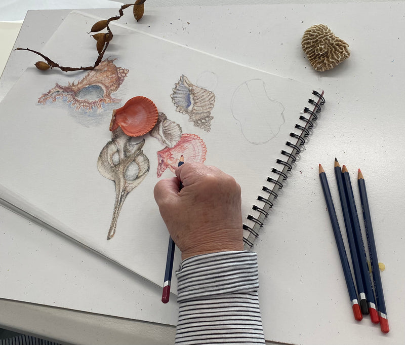SOCIAL ART SESSIONS - free for NatureArt Lab members Canberra ($20.00 per session for non-members)