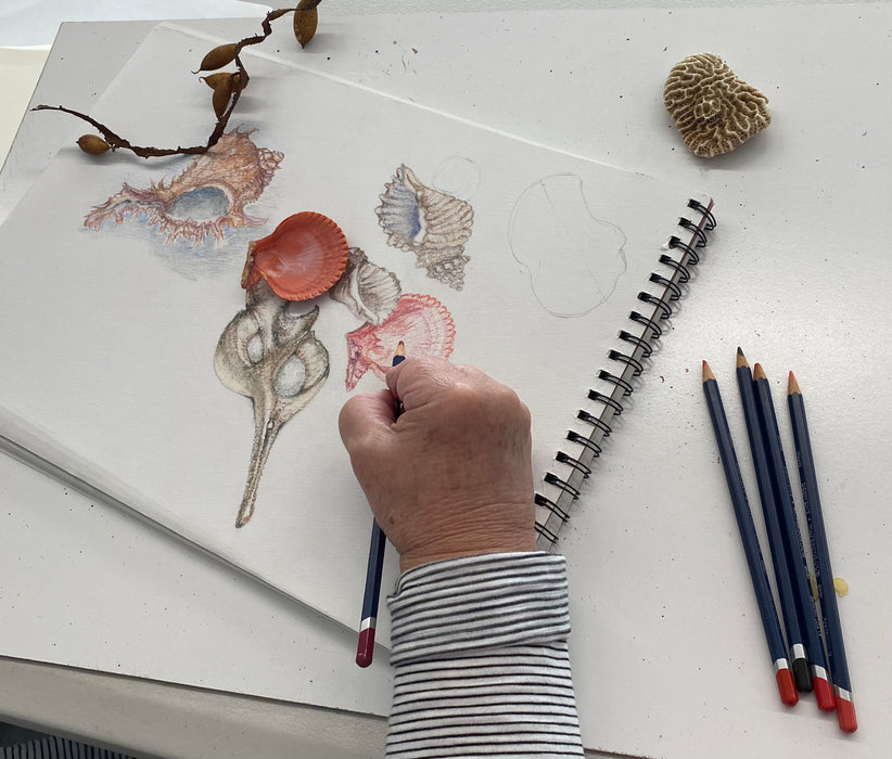 Social Art Sessions - free for NatureArt Lab members Canberra ($20.00 per session for non-members)