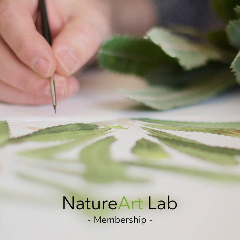 NATUREART LAB MEMBERSHIP